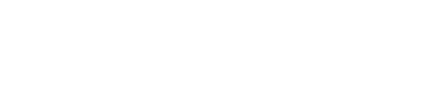 EVA ELECTRIC